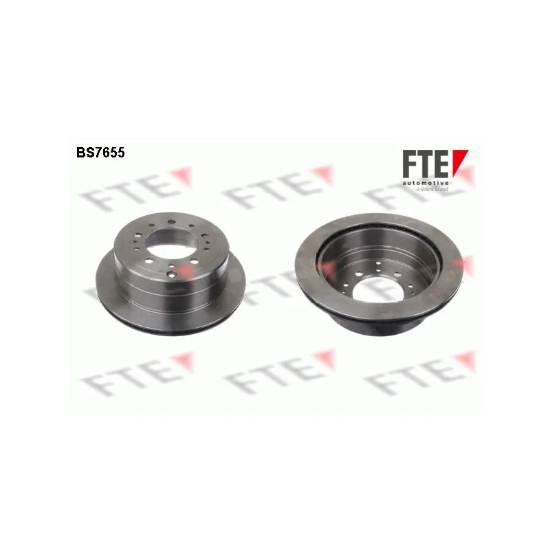 Jeu de 2 disques de frein arrière FTE BS7655