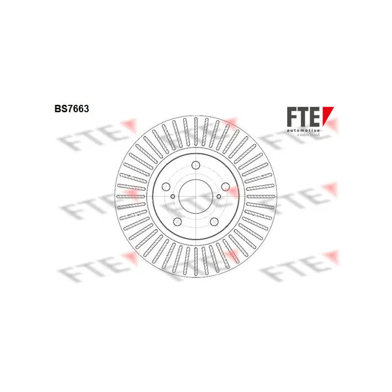 Jeu de 2 disques de frein avant FTE BS7663
