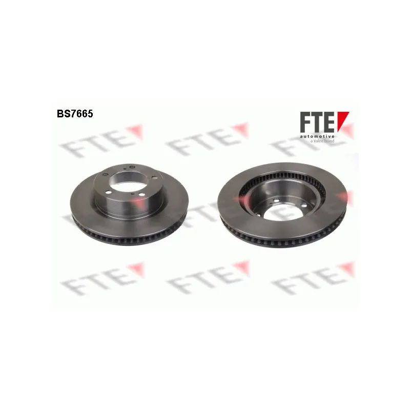 Jeu de 2 disques de frein avant FTE BS7665