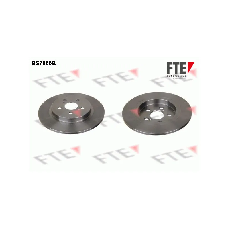 Jeu de 2 disques de frein arrière FTE BS7666B
