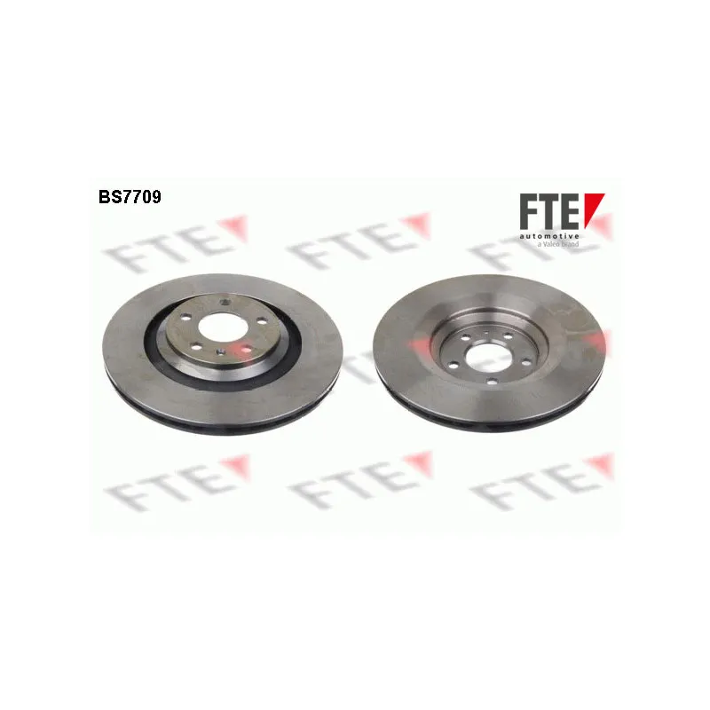 Jeu de 2 disques de frein arrière FTE BS7709