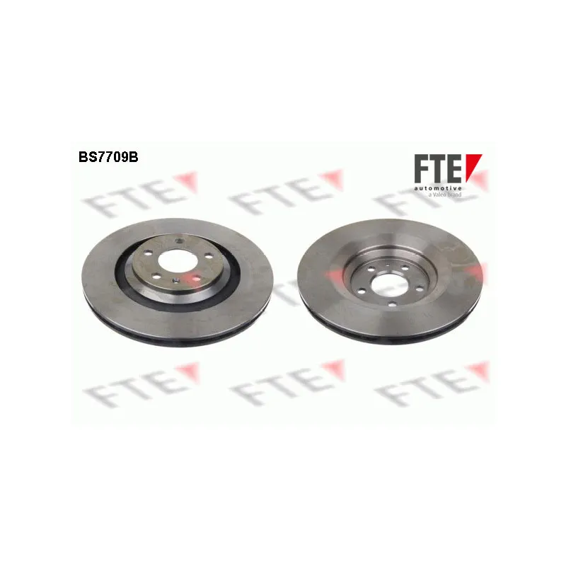 Jeu de 2 disques de frein arrière FTE BS7709B