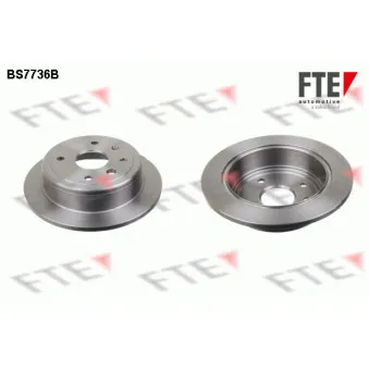 Jeu de 2 disques de frein arrière FTE BS7736B