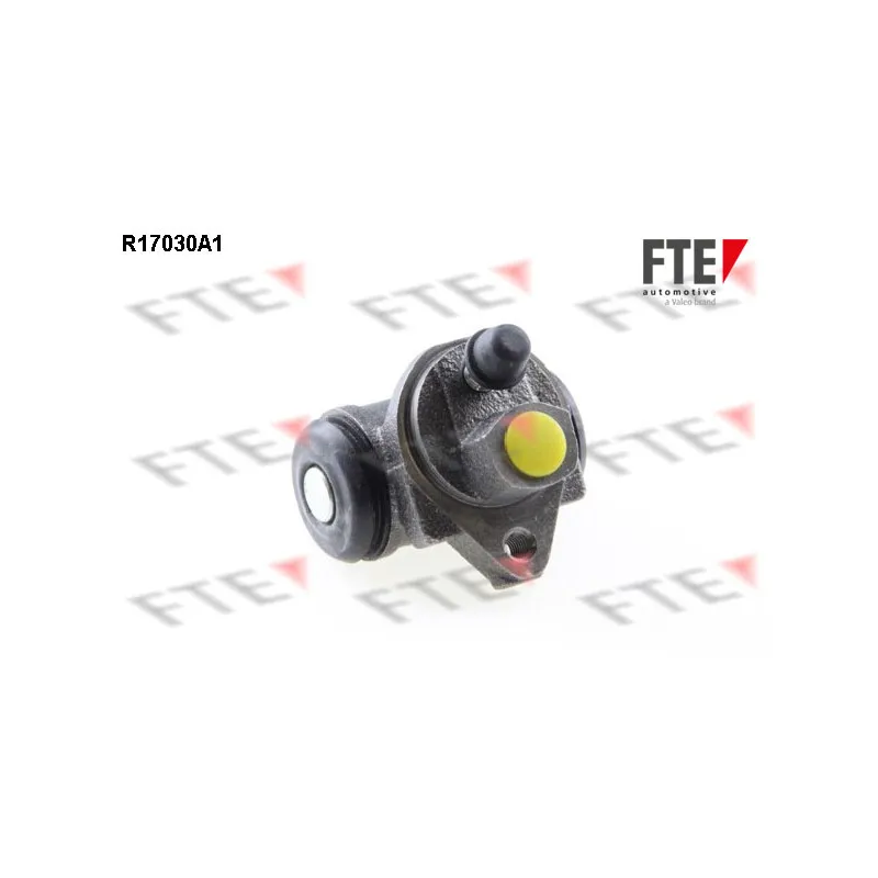 Cylindre de roue FTE R17030A1