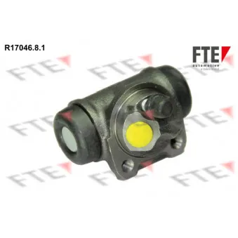 Cylindre de roue FTE