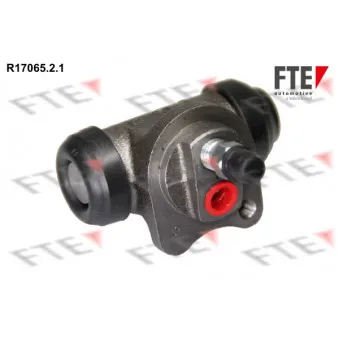 Cylindre de roue FTE R17065.2.1