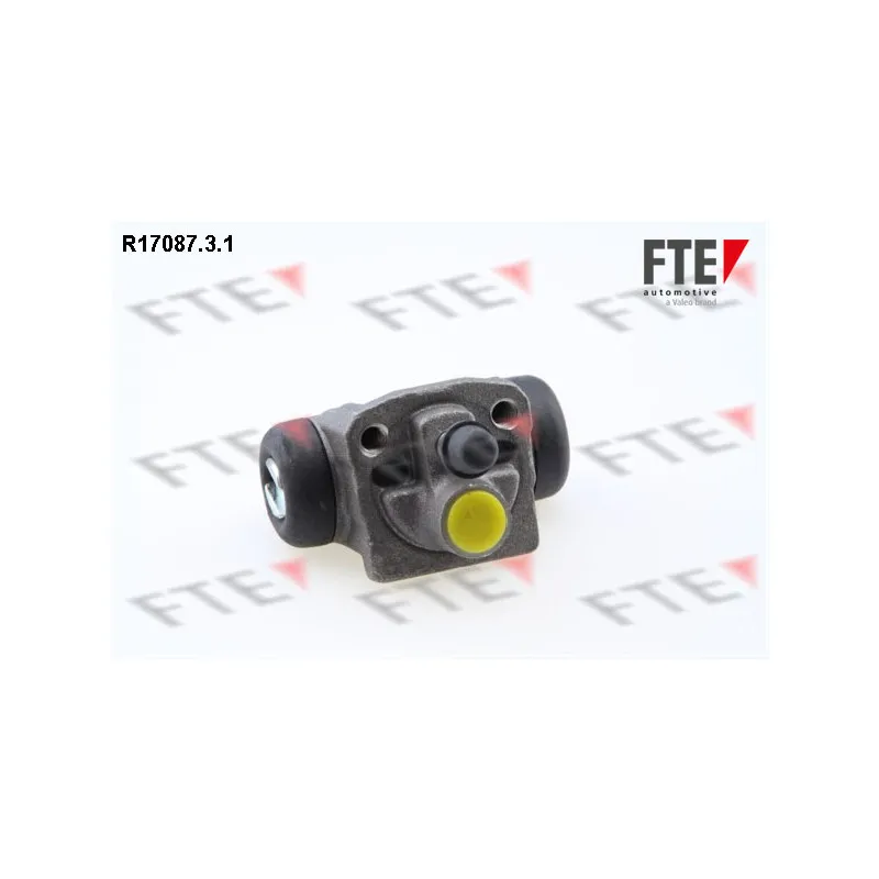Cylindre de roue FTE R17087.3.1