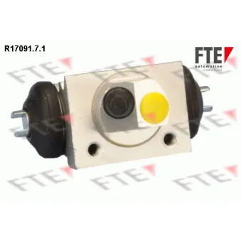 Cylindre de roue FTE R17091.7.1