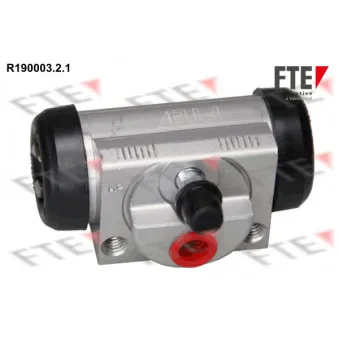 Cylindre de roue FTE R190003.2.1