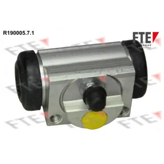 Cylindre de roue FTE R190005.7.1