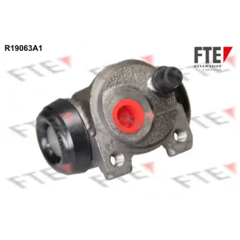 Cylindre de roue FTE R19063A1