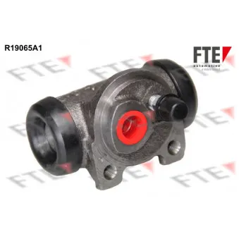 Cylindre de roue FTE R19065A1
