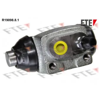 Cylindre de roue FTE R19098.8.1
