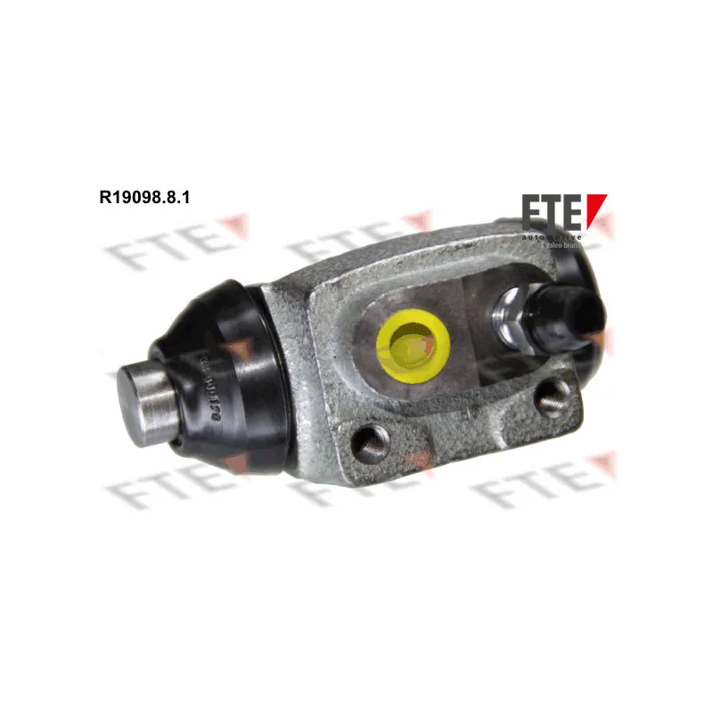 Cylindre de roue FTE R19098.8.1