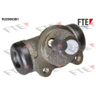 Cylindre de roue FTE R220003B1
