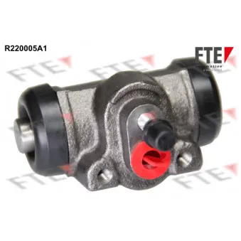 Cylindre de roue FTE R220005A1