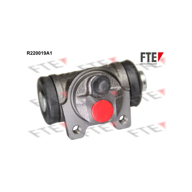 Cylindre de roue FTE R220019A1