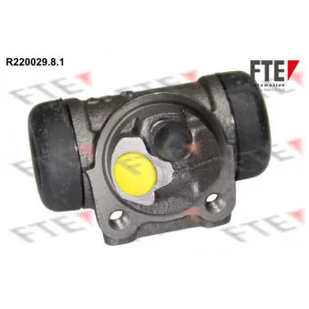 Cylindre de roue FTE R220029.8.1