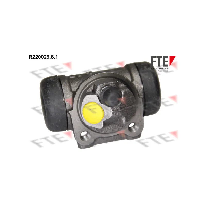 Cylindre de roue FTE R220029.8.1