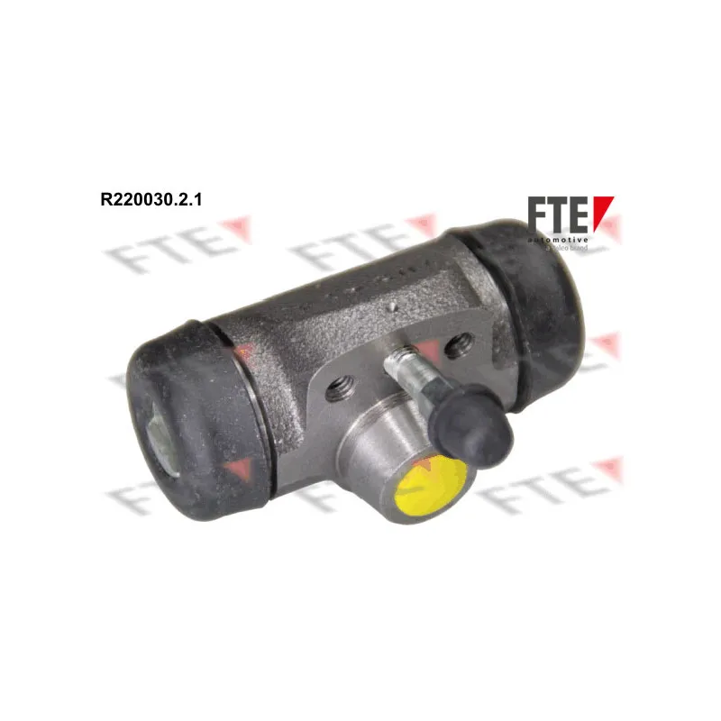 Cylindre de roue FTE R220030.2.1