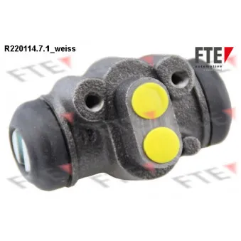Cylindre de roue FTE R220114.7.1