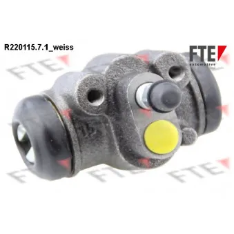 Cylindre de roue FTE R220115.7.1