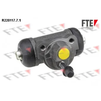 Cylindre de roue FTE R220117.7.1