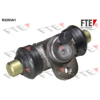 Cylindre de roue FTE R2293A1