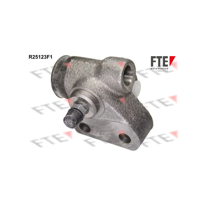 Cylindre de roue FTE R25123F1