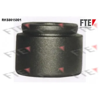 Piston, étrier de frein FTE RKS8615001