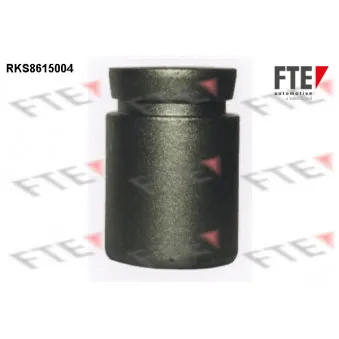 Piston, étrier de frein FTE RKS8615004