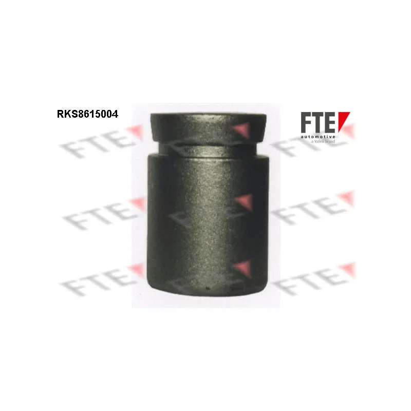 Piston, étrier de frein FTE RKS8615004