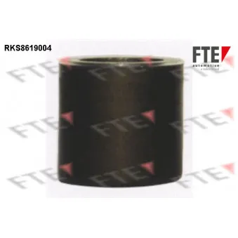 Piston, étrier de frein FTE RKS8619004