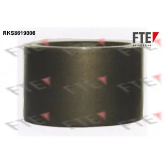 Piston, étrier de frein FTE RKS8619006