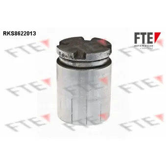 Piston, étrier de frein FTE RKS8622013
