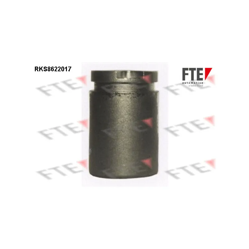 Piston, étrier de frein FTE RKS8622017