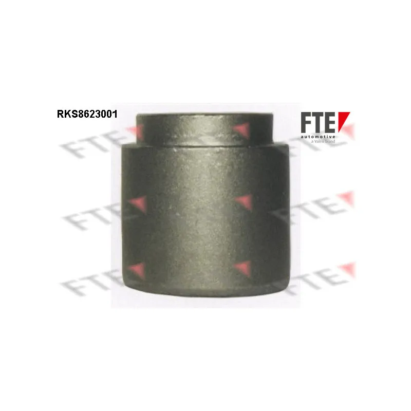 Piston, étrier de frein FTE RKS8623001