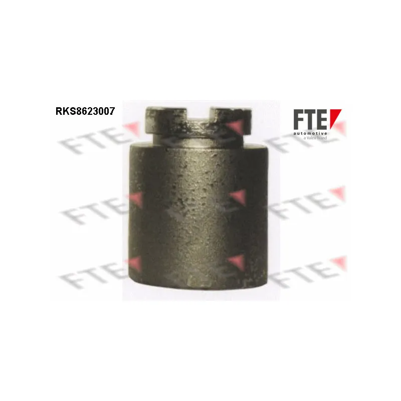 Piston, étrier de frein FTE RKS8623007