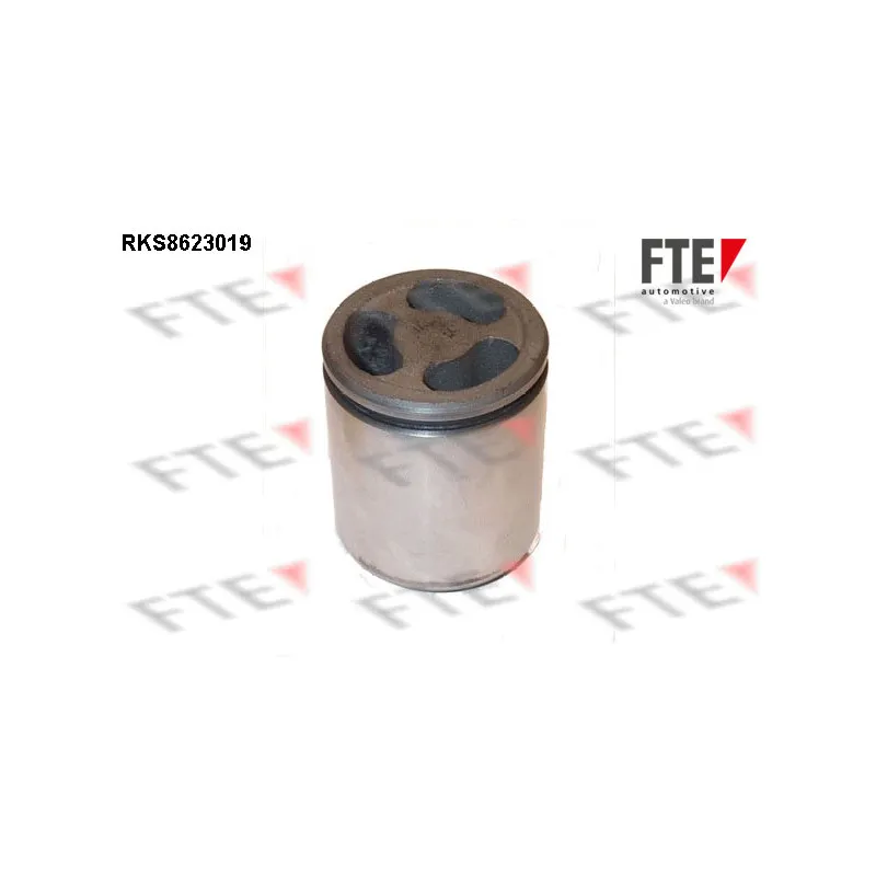 Piston, étrier de frein FTE RKS8623019