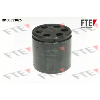 Piston, étrier de frein FTE RKS8623025