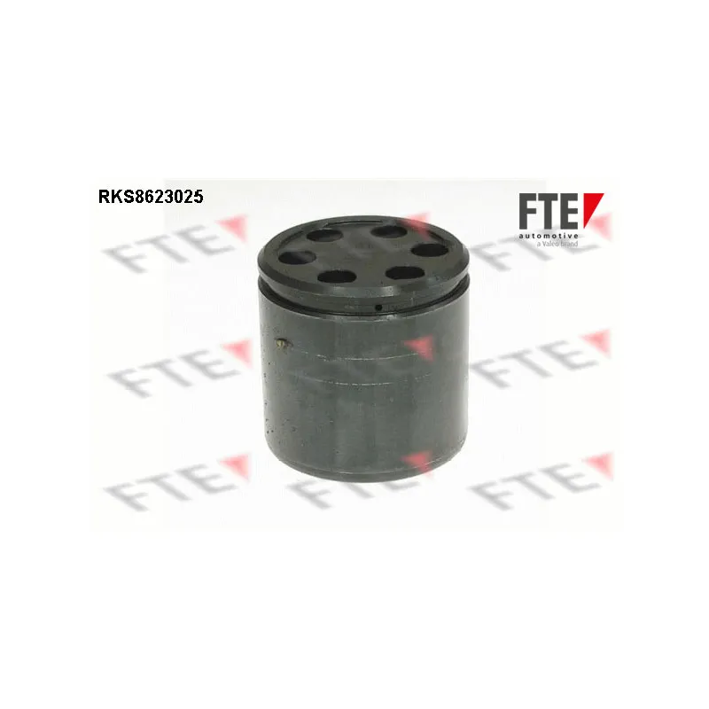 Piston, étrier de frein FTE RKS8623025