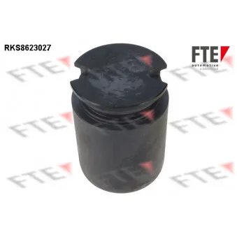 Piston, étrier de frein FTE RKS8623027
