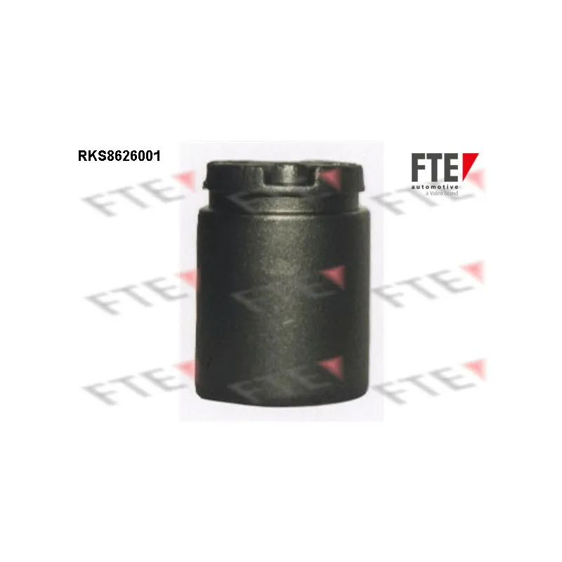 Piston, étrier de frein FTE RKS8626001