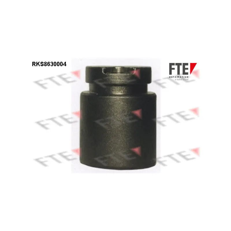 Piston, étrier de frein FTE RKS8630004