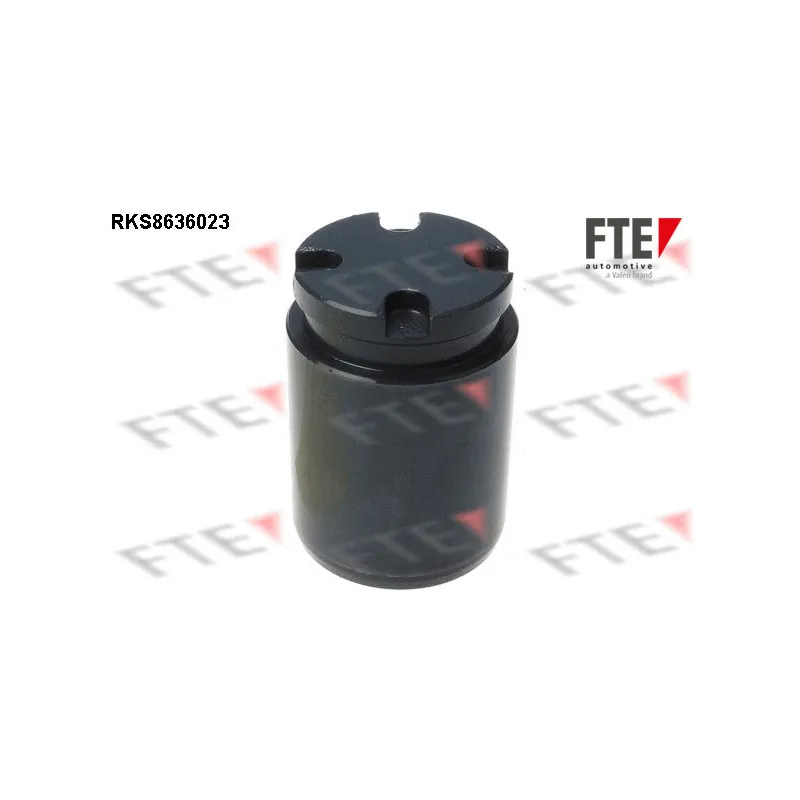 Piston, étrier de frein FTE RKS8636023