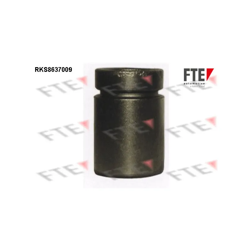 Piston, étrier de frein FTE RKS8637009