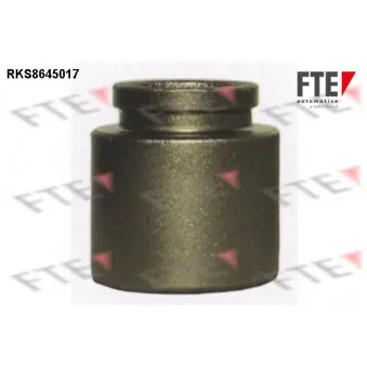 Piston, étrier de frein FTE RKS8645017
