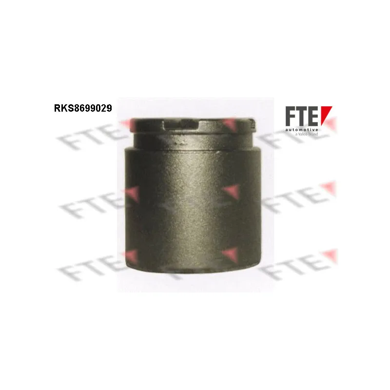 Piston, étrier de frein FTE RKS8699029