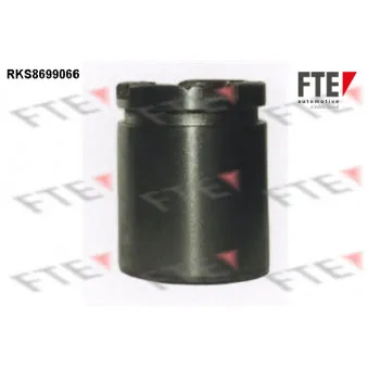 Piston, étrier de frein FTE RKS8699066
