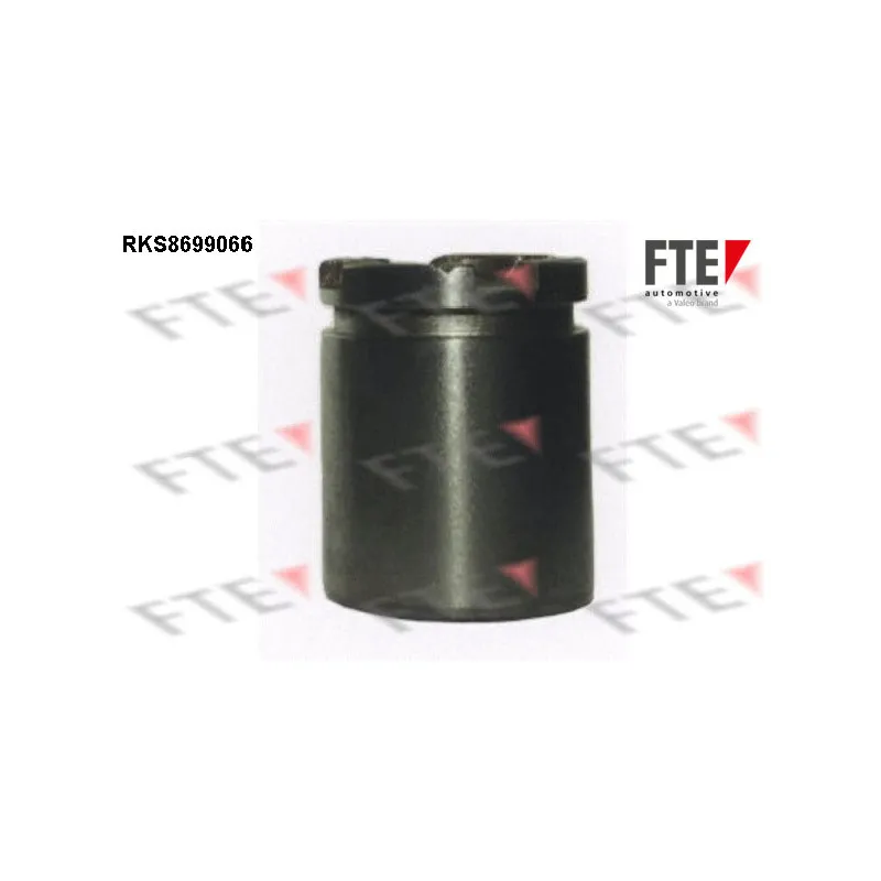 Piston, étrier de frein FTE RKS8699066
